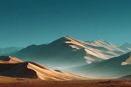 Vulnerability Management